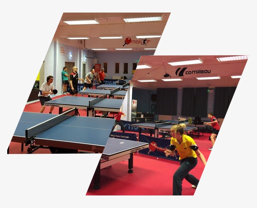 Rules - Ping Pong, transparent png download