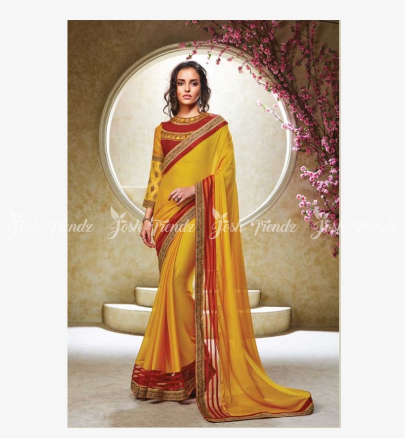 Sari, transparent png download