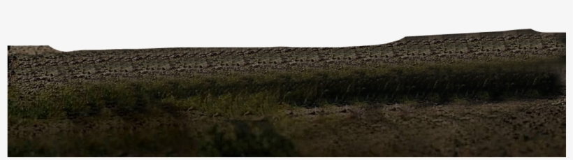 Picsart 06 09 - Grass, transparent png download