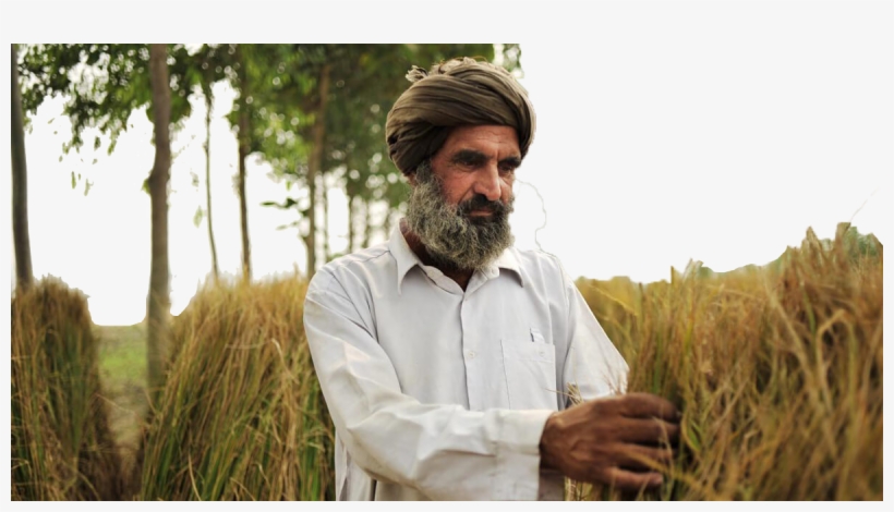 Farmer Transparent Png Image - Farmer, transparent png download