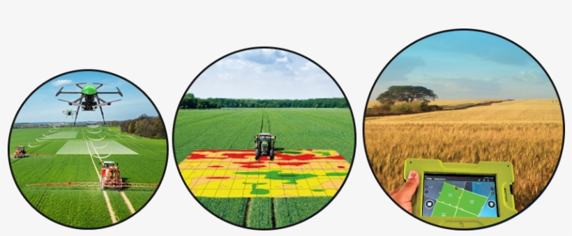 Expanding Population And Declining Productivity Poses - Field, transparent png download