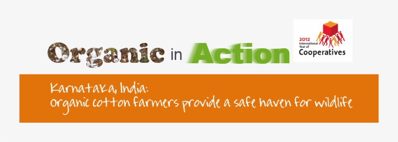 In Southern India, Organic Cotton Farmers Are Supporting - Graphic Design, transparent png download