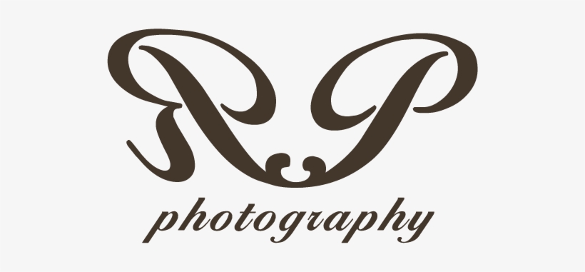 Let's Capture Every Moment - Film, transparent png download