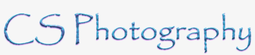 Hope International School, transparent png download