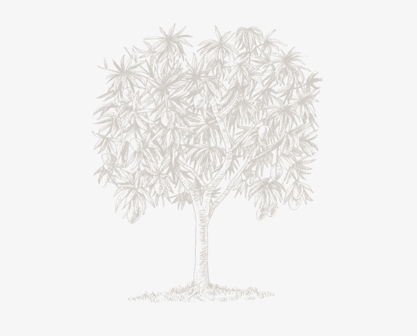 Dominican Republic, transparent png download