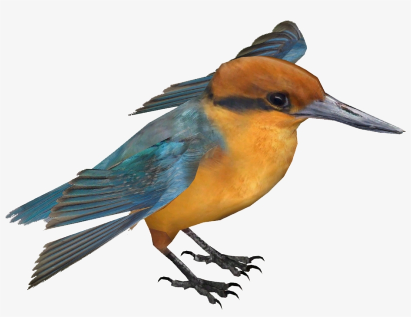 Guam Kingfisher, transparent png download