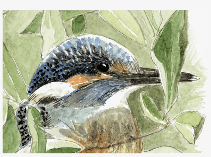 Jura, transparent png download