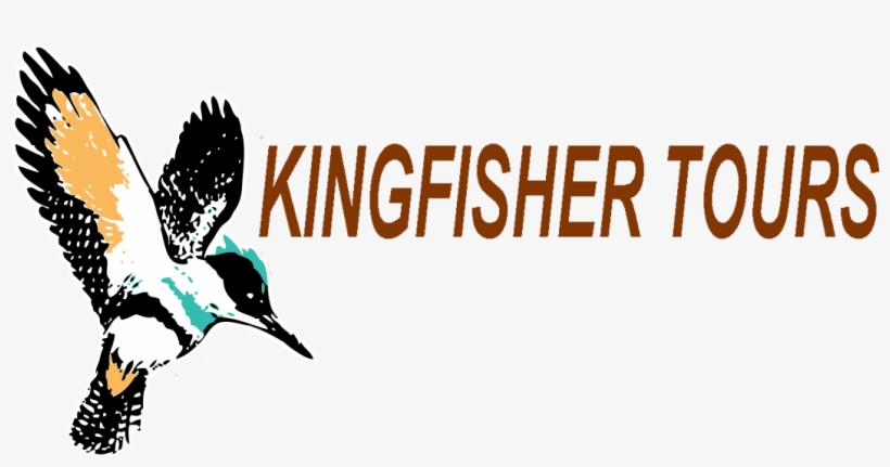 Book And Pay Before November 30 And Pay 2018 Rates - Kingfisher Tours, transparent png download