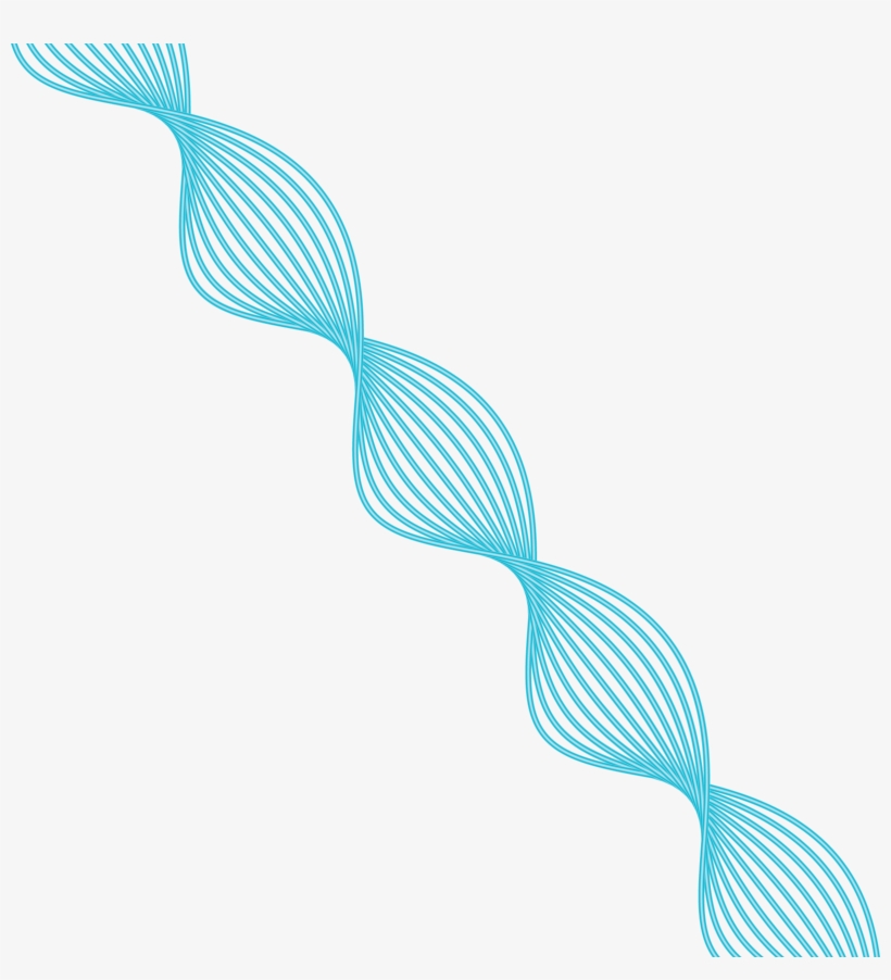 Kingfisher Inc., transparent png download