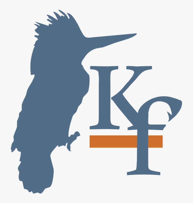 Kingfisher, transparent png download