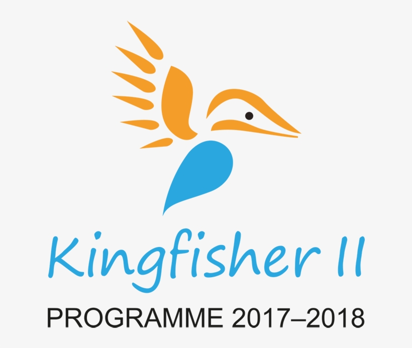 The Kingfisher Ii Programme - Duck, transparent png download