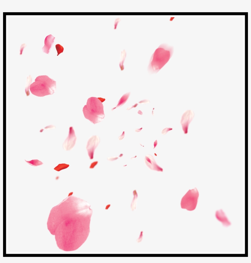 Incredible Toedit Ftestickers Flower - 樱花 花瓣, transparent png download