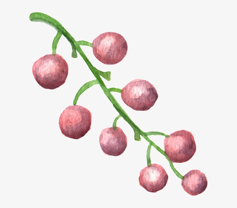 Fruit Pink Transparent Decorative Material - Watercolor Painting, transparent png download