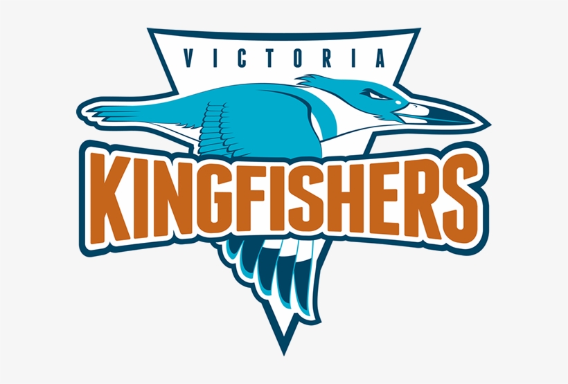 Kingfishers, transparent png download