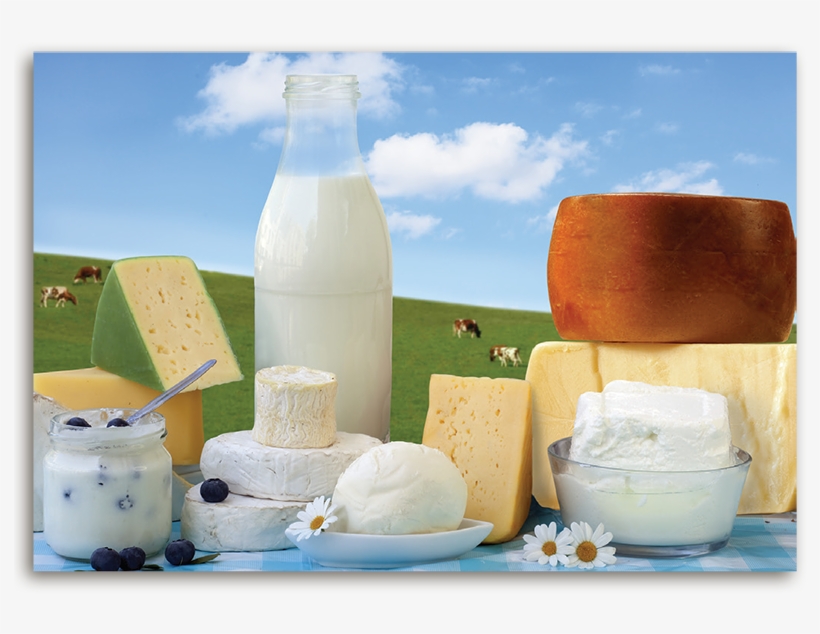 Milk, Cheese, Yogurt, And Ice Cream Are All Part Of - Future Of Food Business, The By Marcos Fava Neves, transparent png download