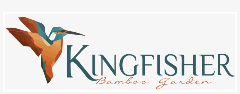 Kingfisher, transparent png download