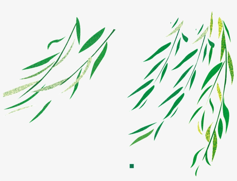 Flying Willow Transparent - 柳 枝, transparent png download