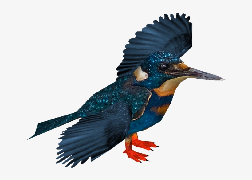 Bismarck Kingfisher - Coraciiformes, transparent png download