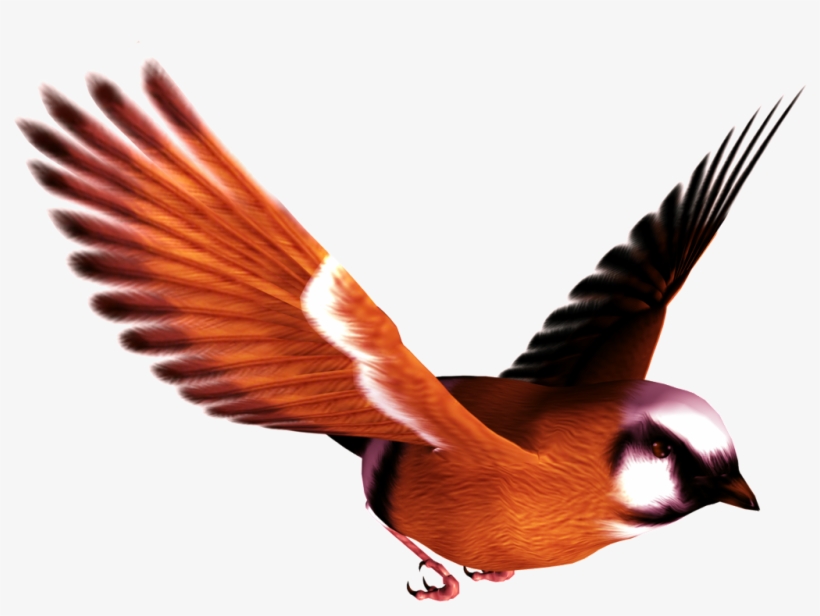 Flying Bird Transparent - Rephorm - Ballcony Birdball Bird Feeder, White, transparent png download