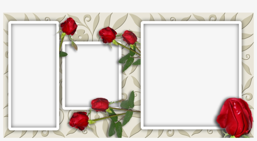 Http - //i022 - Radikal - Ru/0805/3a/da1c88c409a7 - Garden Roses, transparent png download