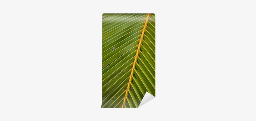 Vinegar Tree, transparent png download