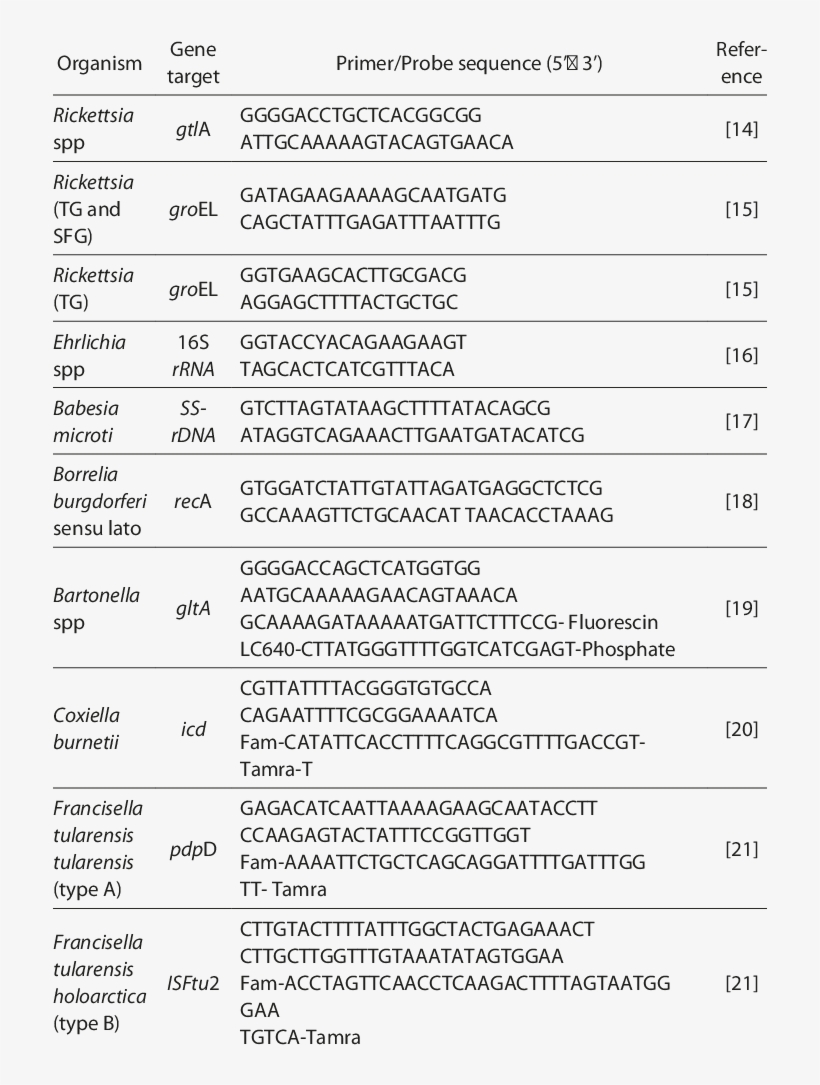 Primers And Probes Used For Detection Of Pathogens - The Daily Guardian, transparent png download
