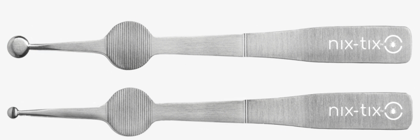 Paint Brush, transparent png download