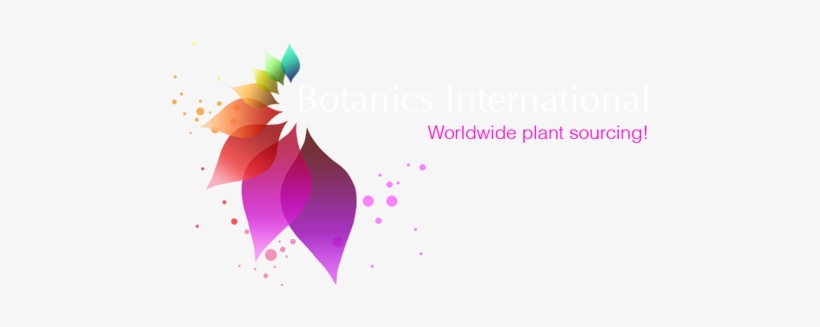 Botanics International - Graphic Design, transparent png download
