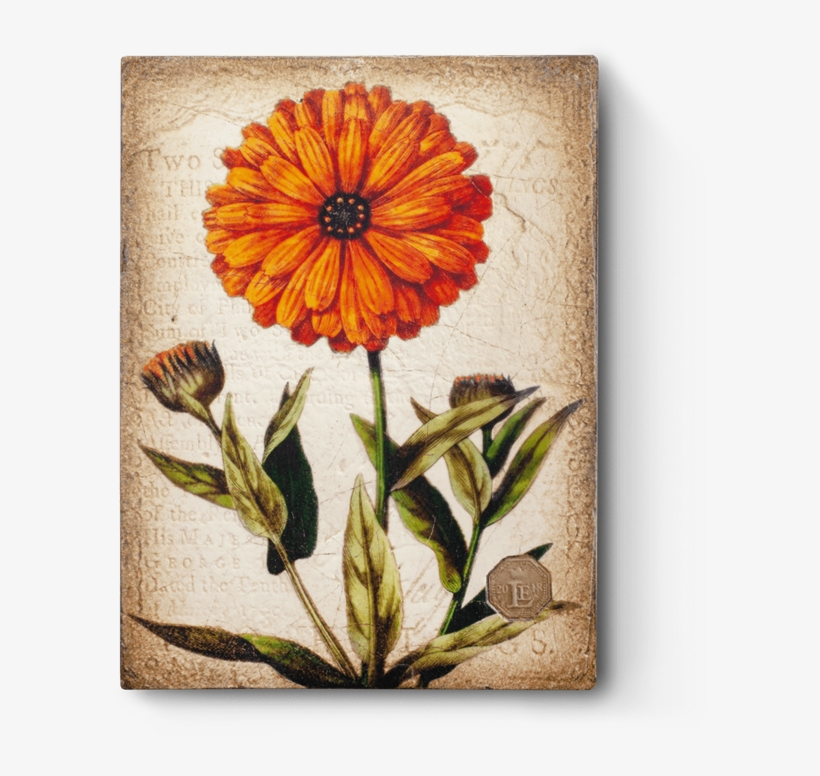 Marigold Necklace, Marigold Pendant, Vintage Marigold,, transparent png download