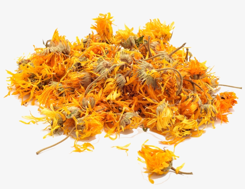 Naoe Ph Dried Calendula Supplier - Calendula Seca, transparent png download