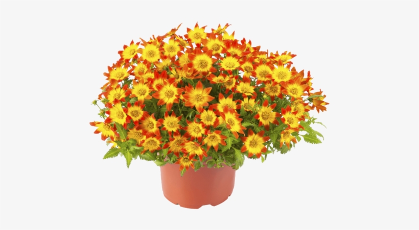 Beedance Painted Red - Polyresin, transparent png download