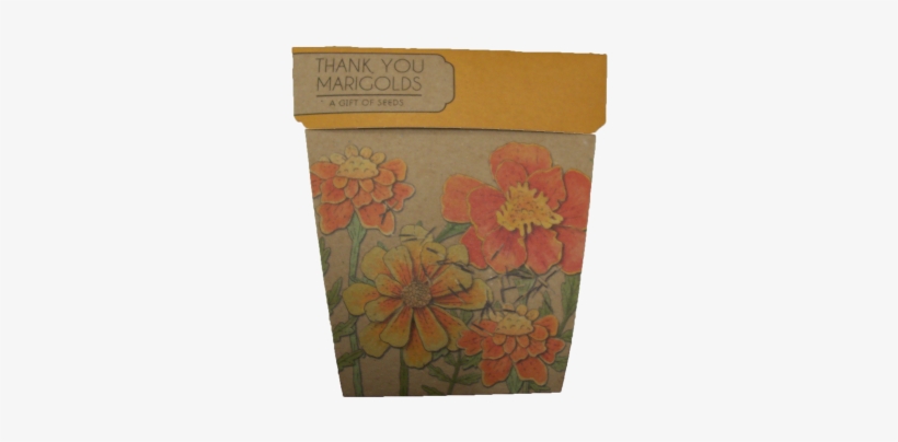 Marigolds - Marigold, transparent png download