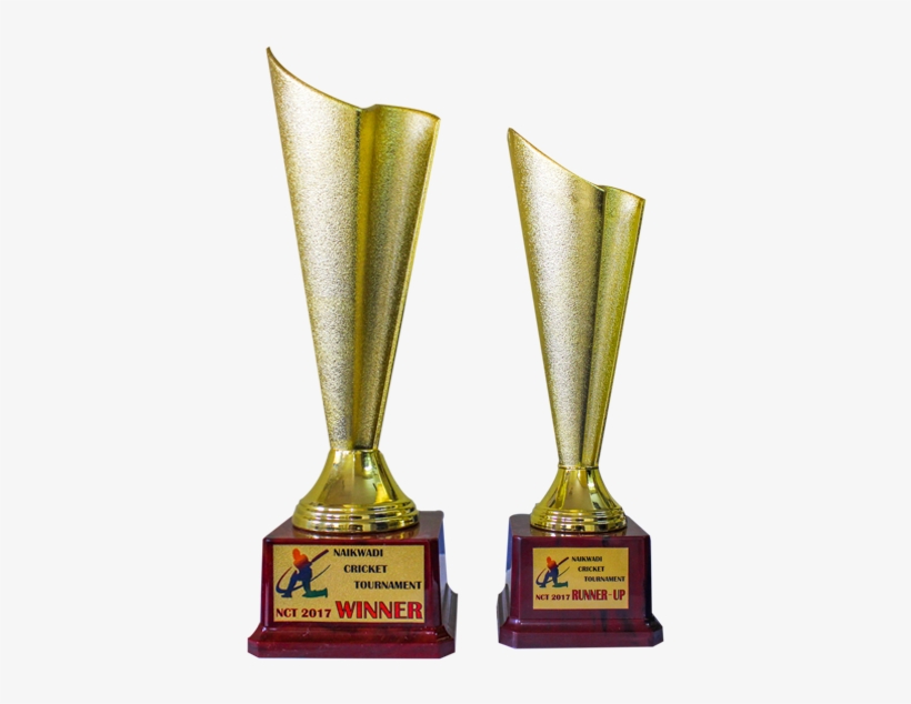Fiber Trophies Caag - Fiber Trophy, transparent png download