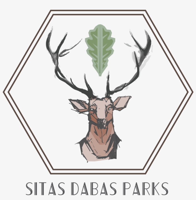 Deer Logo Design For Inspiration - Design, transparent png download