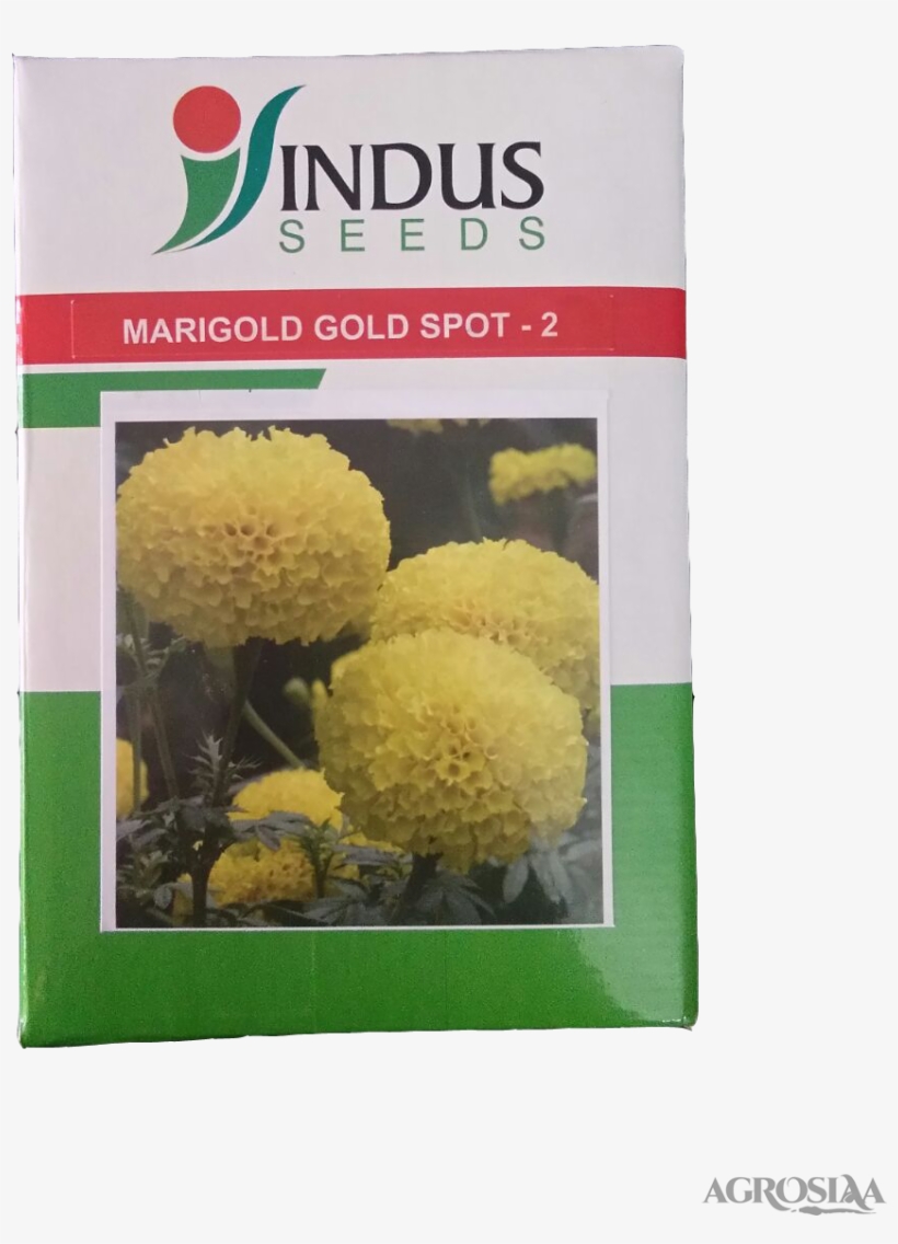 F1 - Baylor College Of Medicine, transparent png download