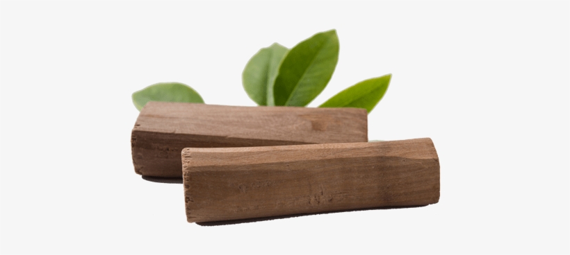Sandalwood - Sandalwood Png Hd, transparent png download