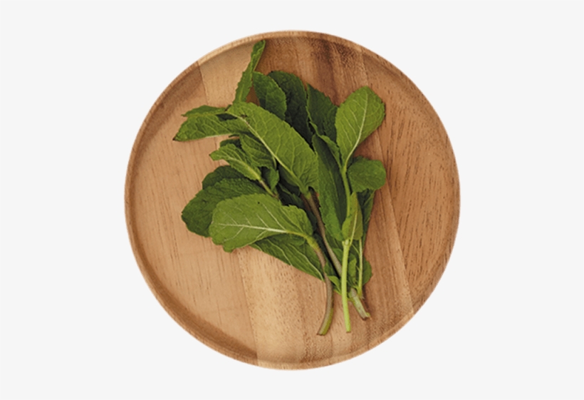 10 G - Spinach, transparent png download