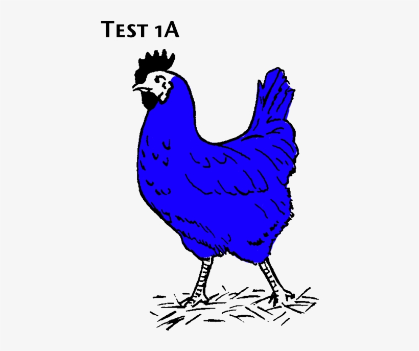 Bluechicken - Clip Art Black And White Chicken, transparent png download