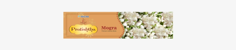 Chrysanths, transparent png download