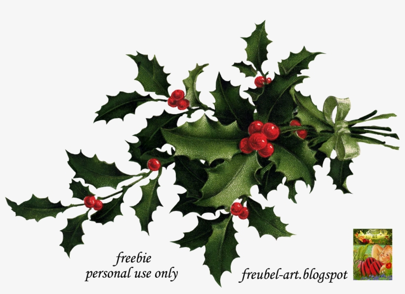 Christmas Holly Corner Png Download - Antonia Nouwens, transparent png download