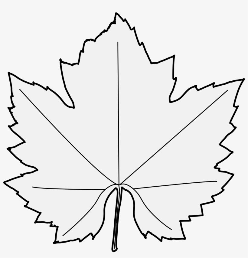 Details, Png - Maple Leaf, transparent png download