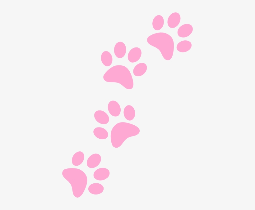 6-10 Yrs - Patas De Perro Rosa Png, transparent png download
