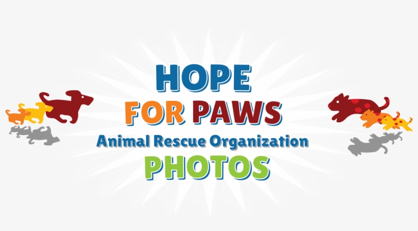 Photos From Hope For Paws And Eldad Hager - Graphic Design, transparent png download