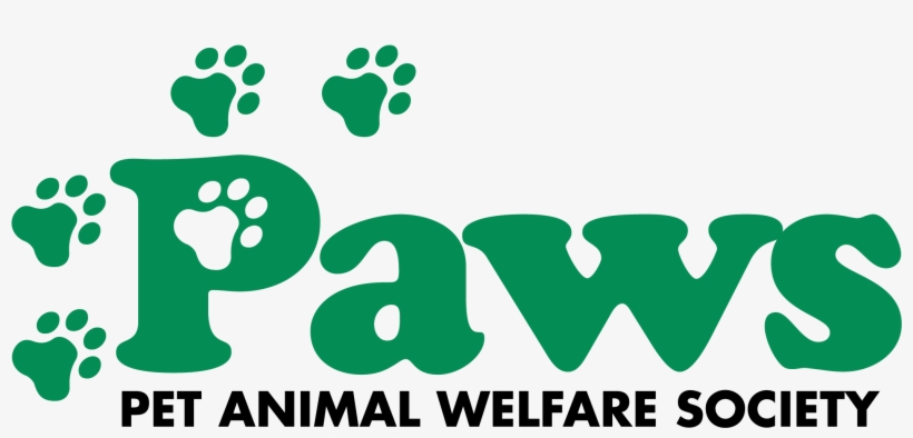 Paws Norwalk Ct, transparent png download