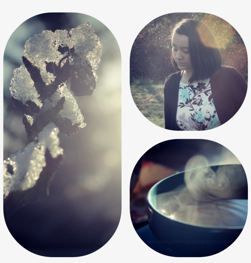 Sincerely Darrion Collage - Collage, transparent png download