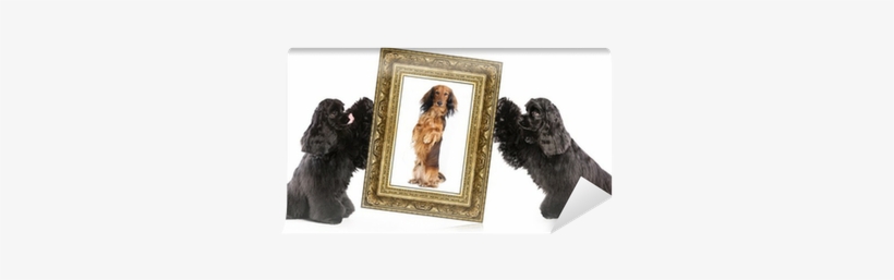 Dachshund Begs For A Treat. Stu Rectangle Magnet, transparent png download