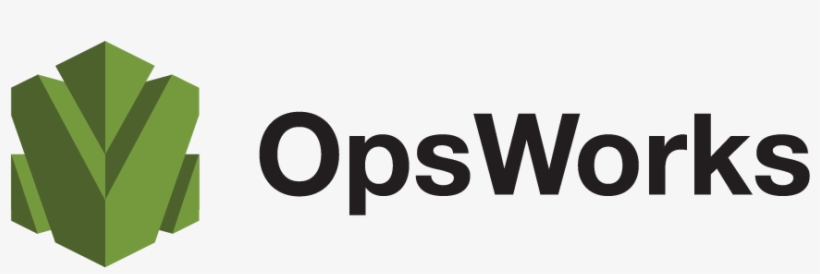 Source - Leopard - In - Ua - Aws Opsworks, transparent png download
