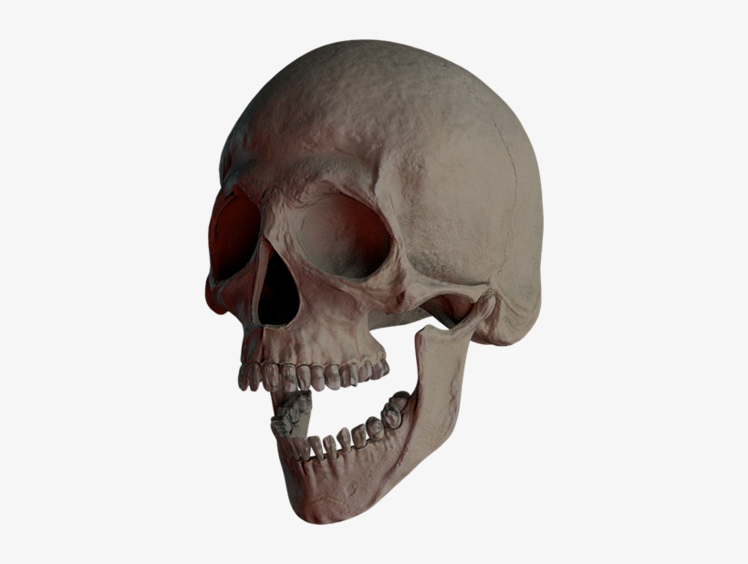Skull, Skull And Crossbones, Bone, Creepy, Weird, Death - Bone, transparent png download