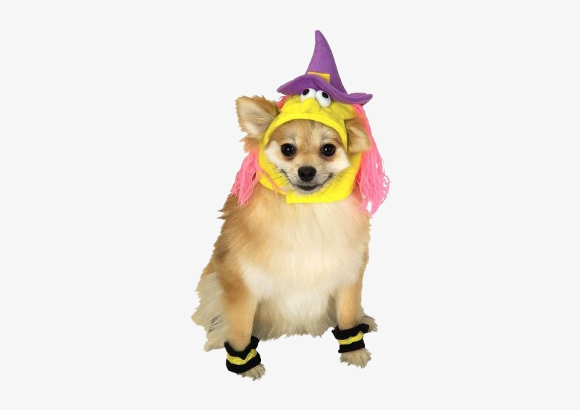 Rubies Princess Pet Costume - X-large, transparent png download