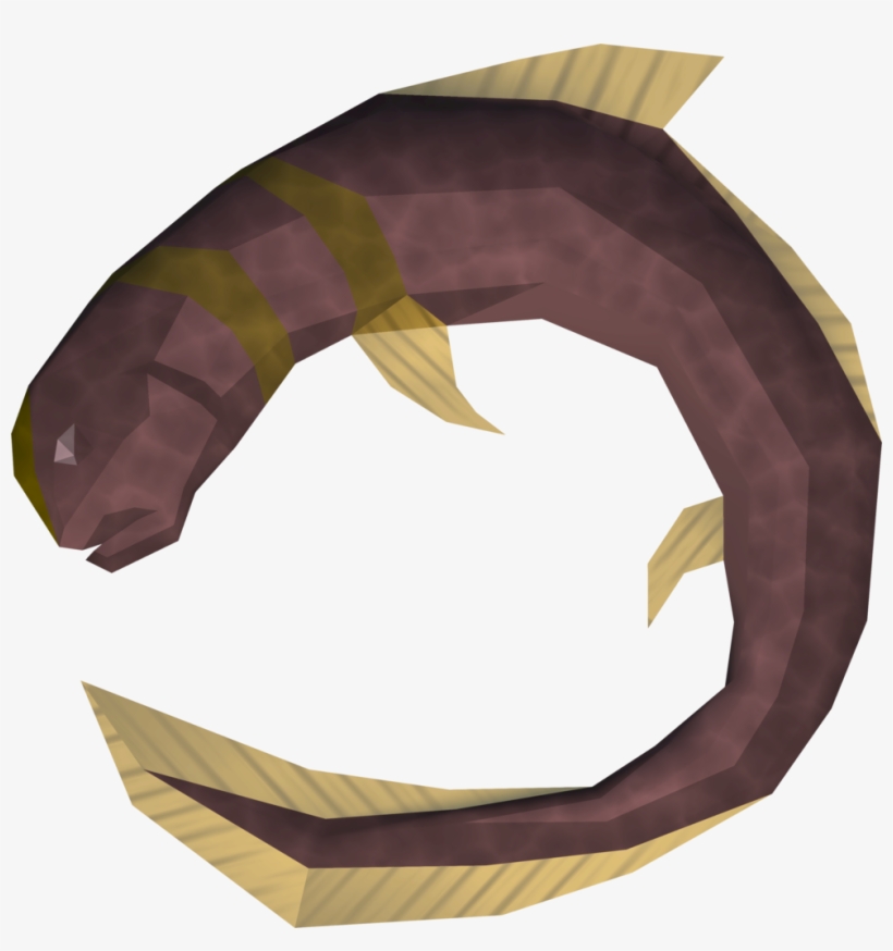 Eel Runescape, transparent png download